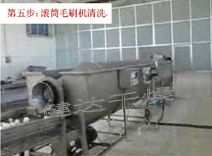 蔬菜脫水-滾筒毛刷清洗機 蔬菜脫水-滾筒毛刷清洗機