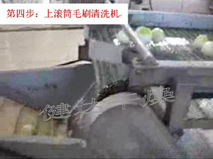 蔬菜脫水-上滾筒毛刷清洗機 蔬菜脫水-上滾筒毛刷清洗機