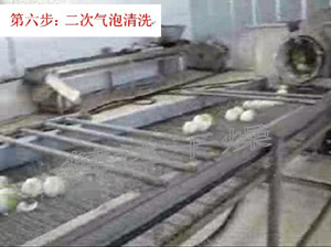蔬菜脫水-二次氣泡清洗 蔬菜脫水-二次氣泡清洗