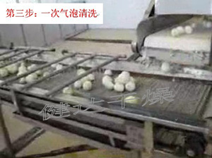 蔬菜脫水-一次氣泡清洗 蔬菜脫水-一次氣泡清洗
